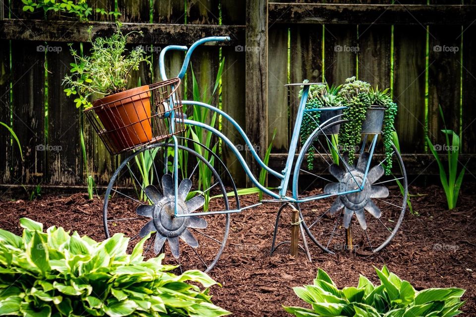 Garden Bicycle