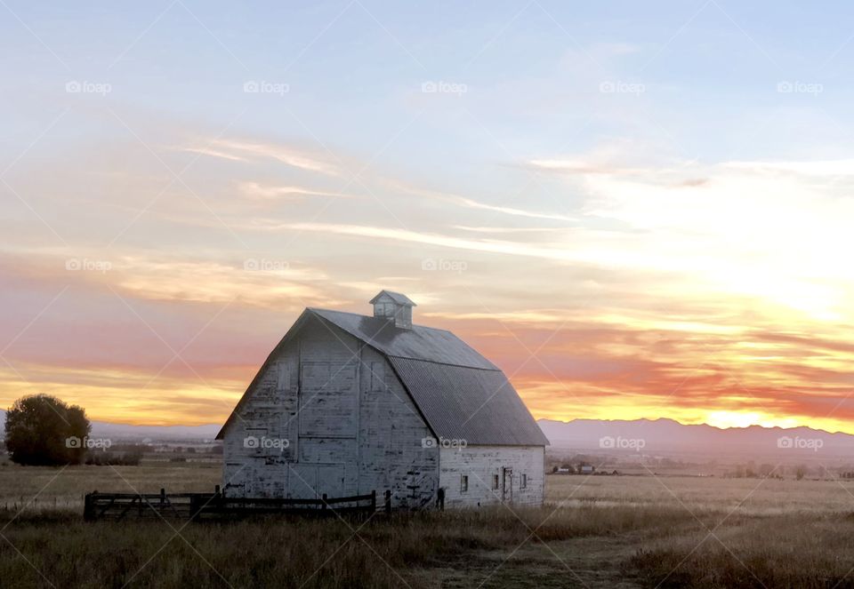 Old barn in rural Montana at sunset. 
