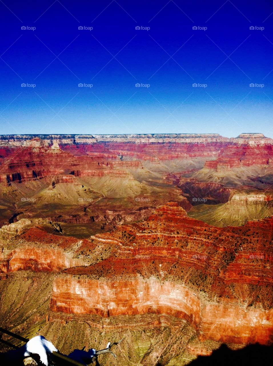 The Grand Canyon 