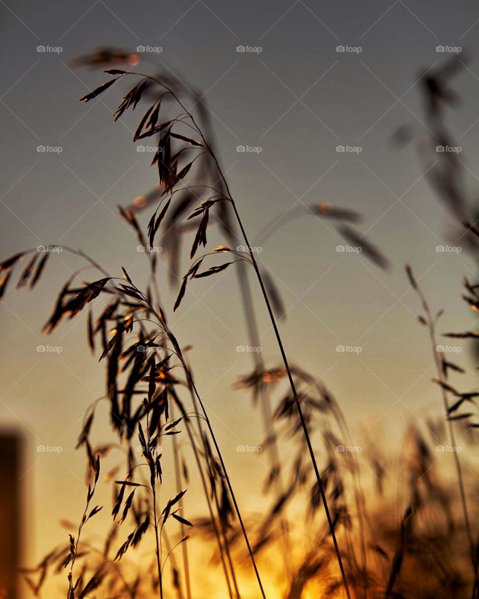 There is beauty in simplicity.