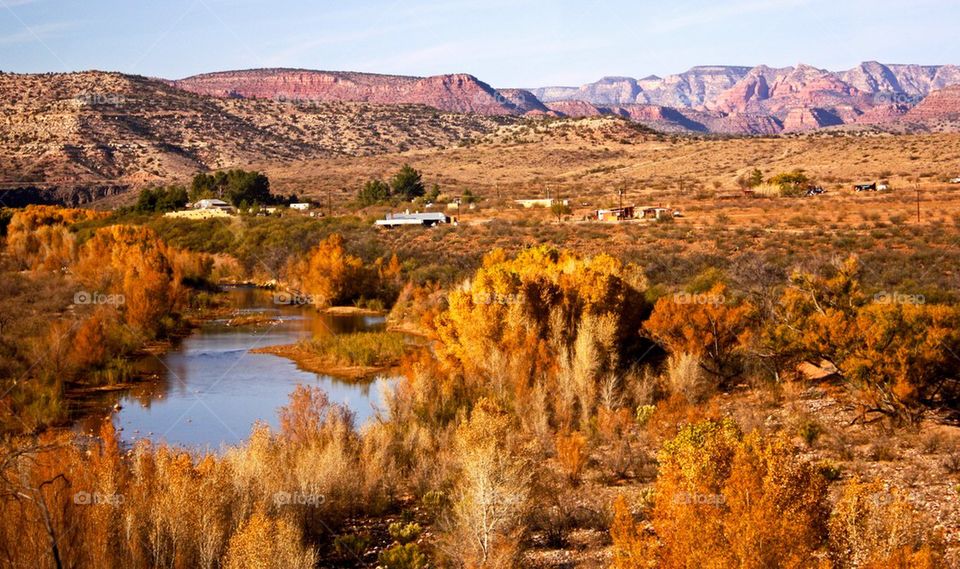 Scenic view of landscape