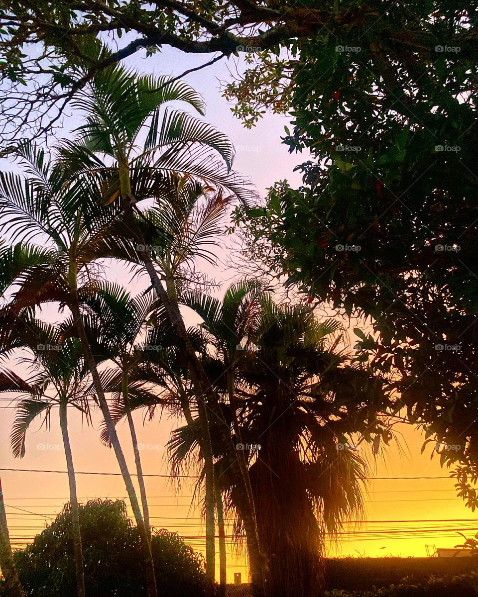 🌄🇺🇸 An extremely beautiful dawn in Jundiaí, interior of Brazil. Cheer the nature! / 🇧🇷 Um amanhecer extremamente bonito em Jundiaí, interior do Brasil. Viva a natureza! 