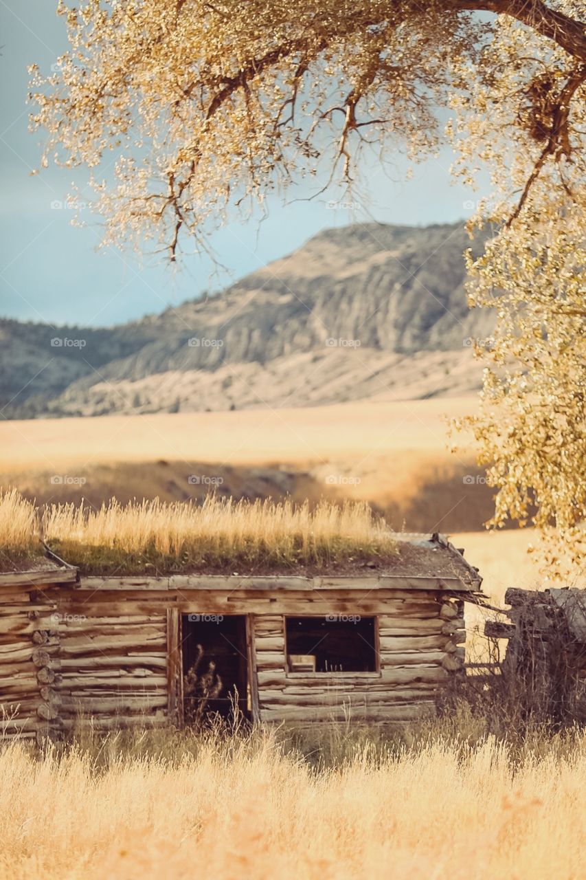 Super spooky yet beautiful abandoned building in the fall. Makes you wonder who lived there. 