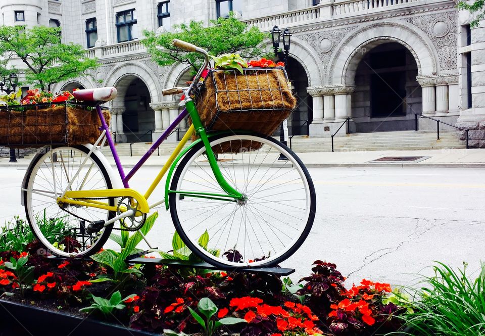 Bicycle Garden. Petals & Pedals