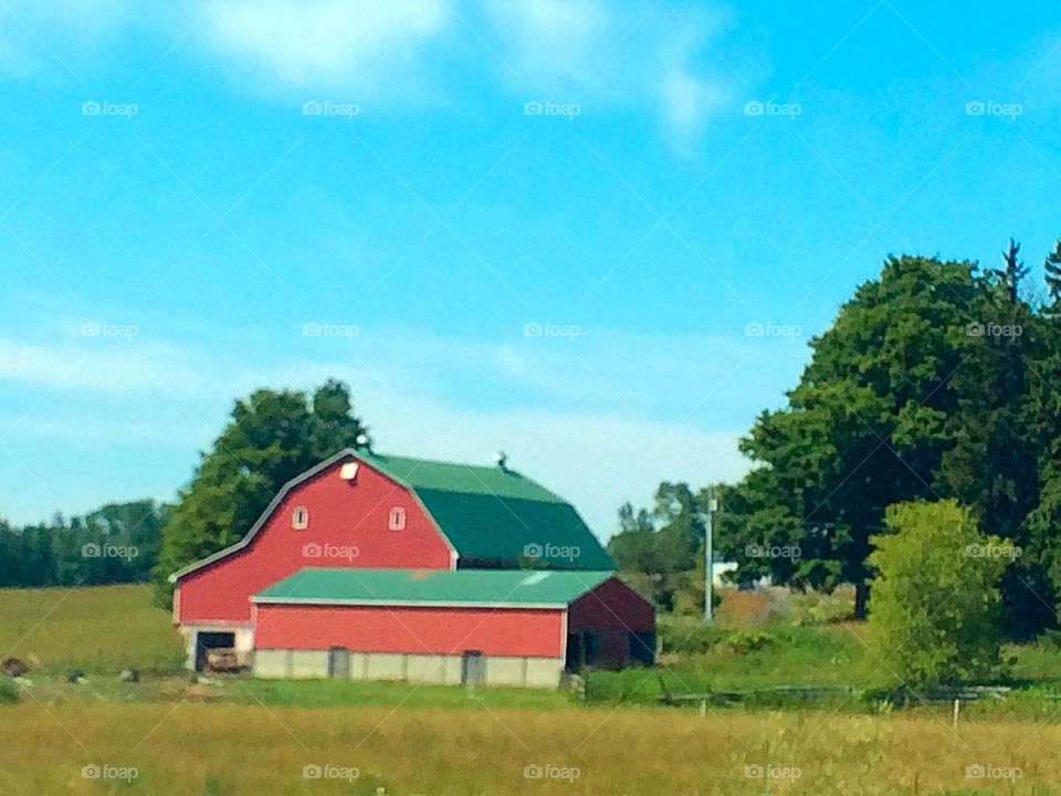 Green roof barn 