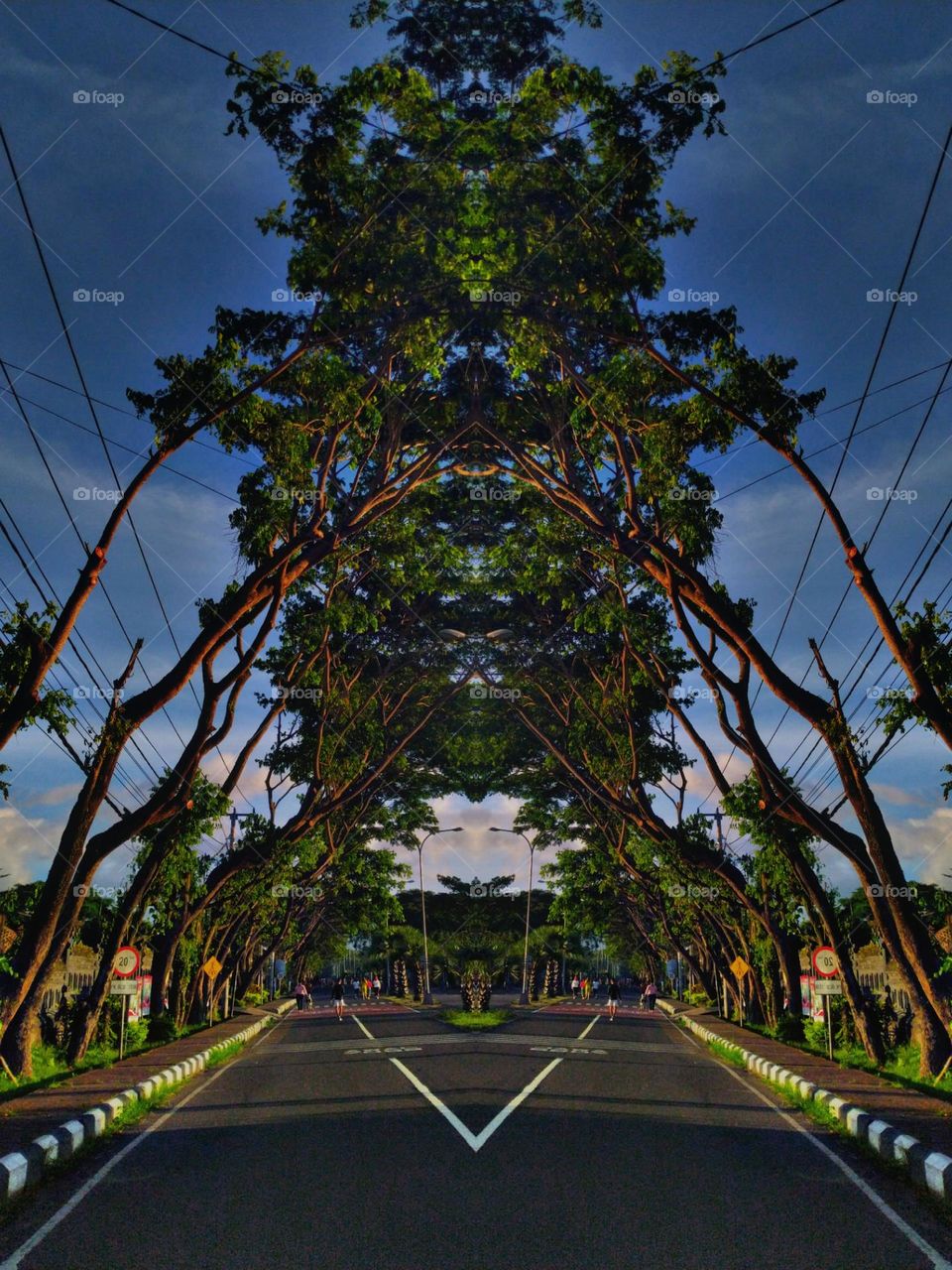 this photo is very amazing, because this is just a photo of a tree on the street, but when I give a mirror effect, something amazing happens to the image of the tree, you can zoom in on the tree, lots of images are formed