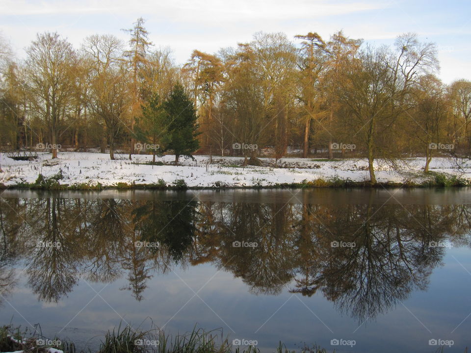 Winter Reflections