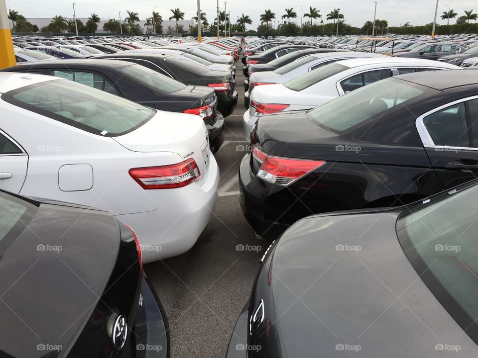 Car dealer. Car dealer parking lot