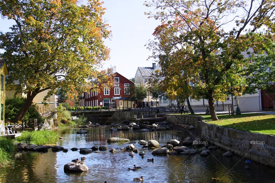 Autumn in Norrtälje, Sweden