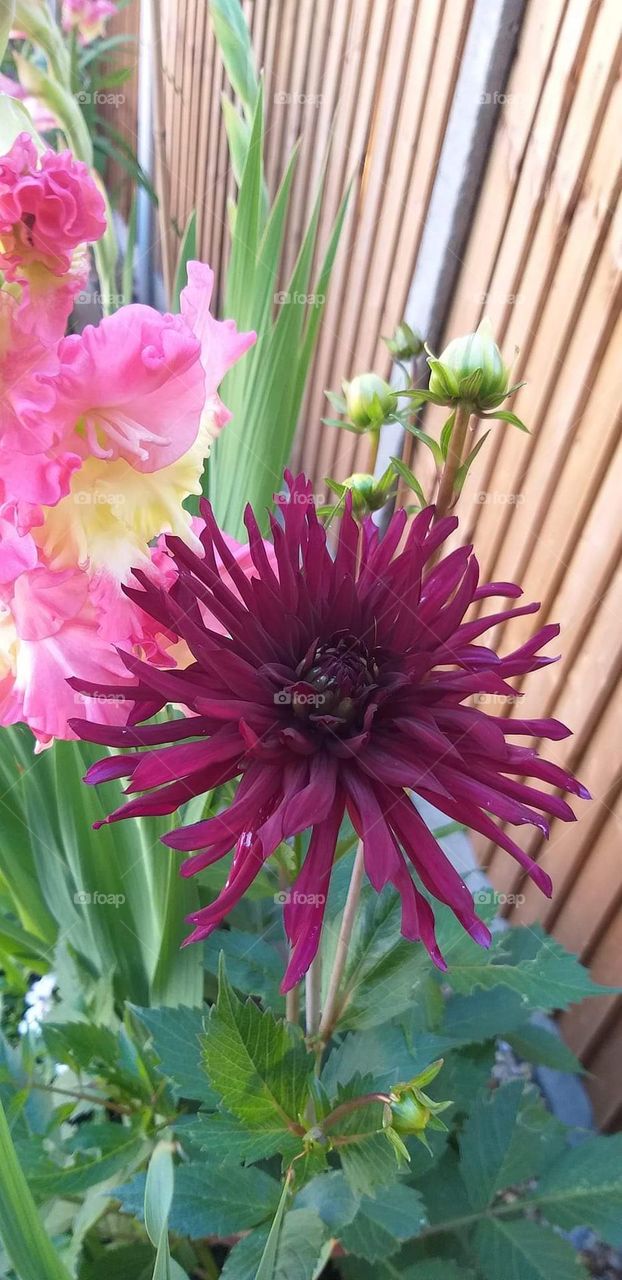 This natural bouquet is quite fascinating