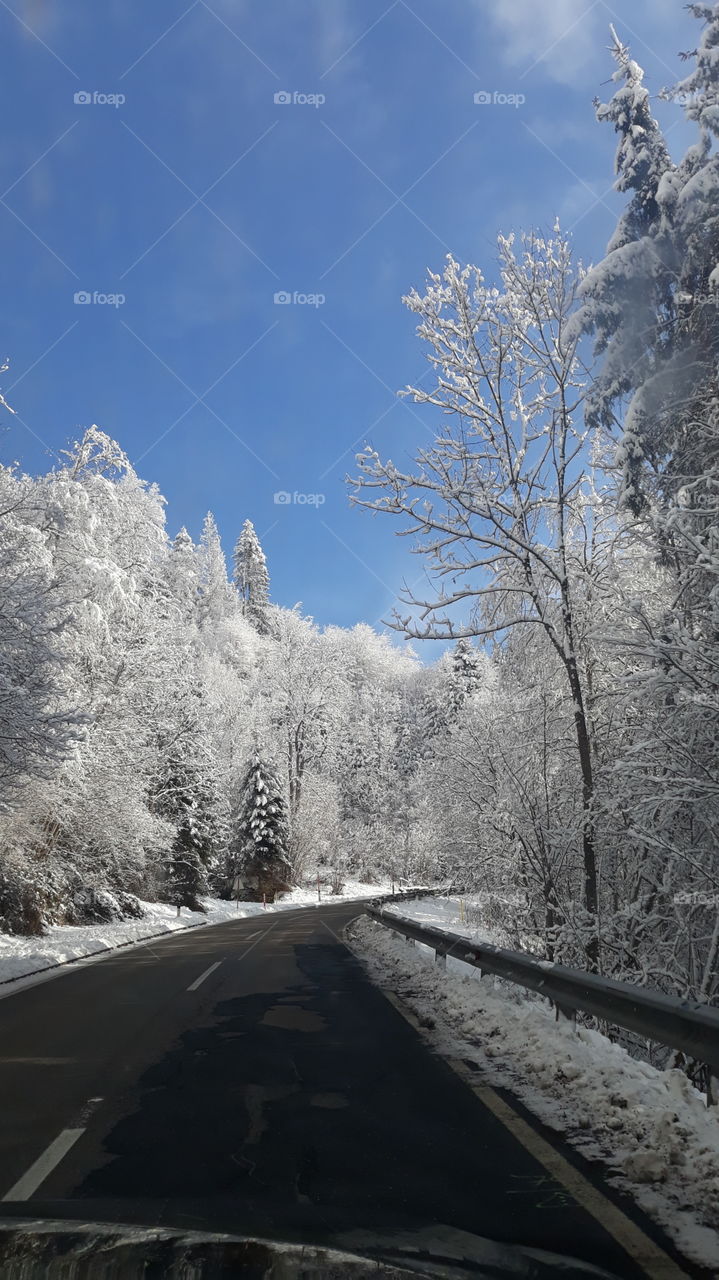 Car drive through a winter landscape with show on the trees and blue sky.