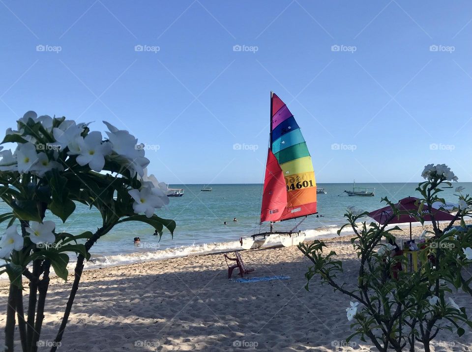 sailboat with colorful sail on Itaparica beach, Bahia, Brazil