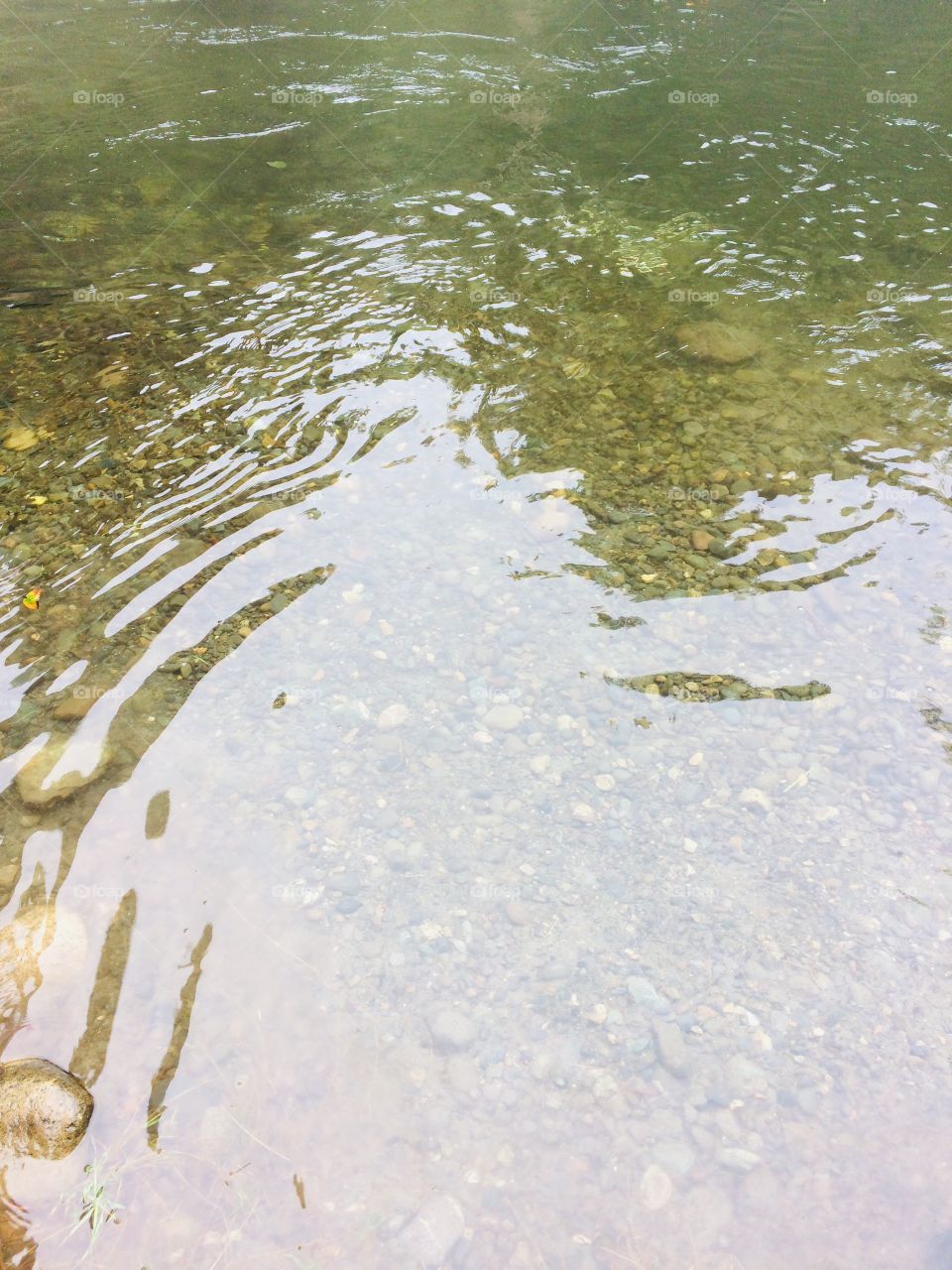 Under the sea( actually river)