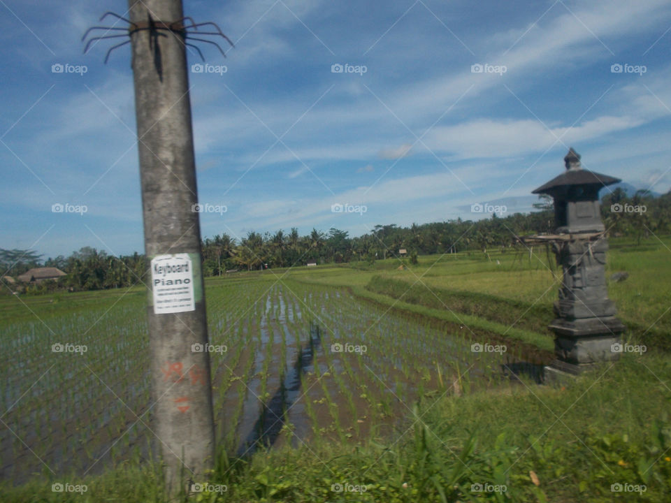 Indonesia