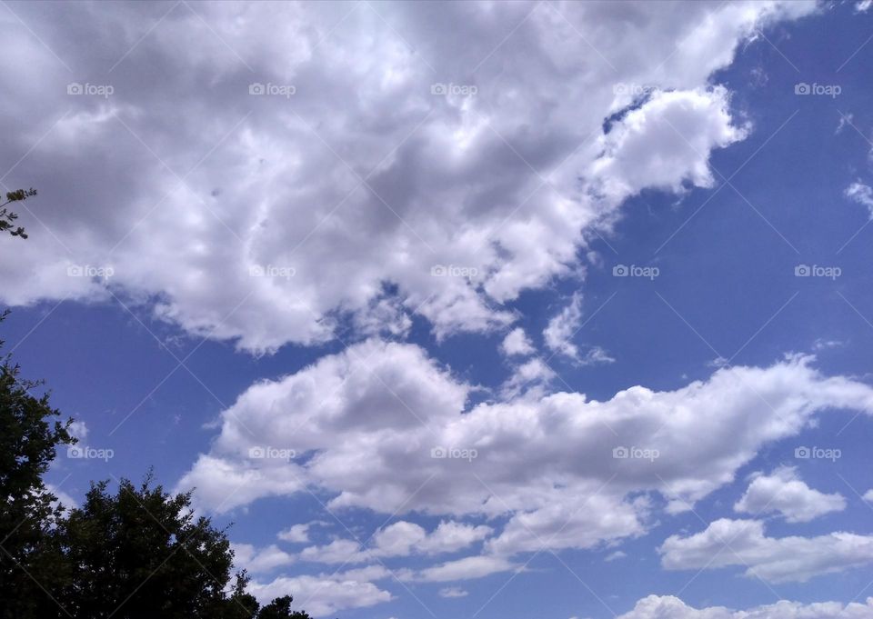 Editors' Choice - Photo of the Week