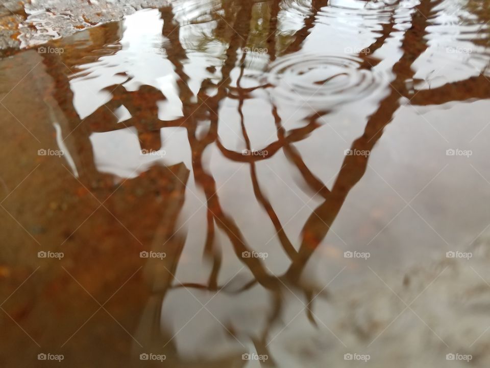 Rain puddle