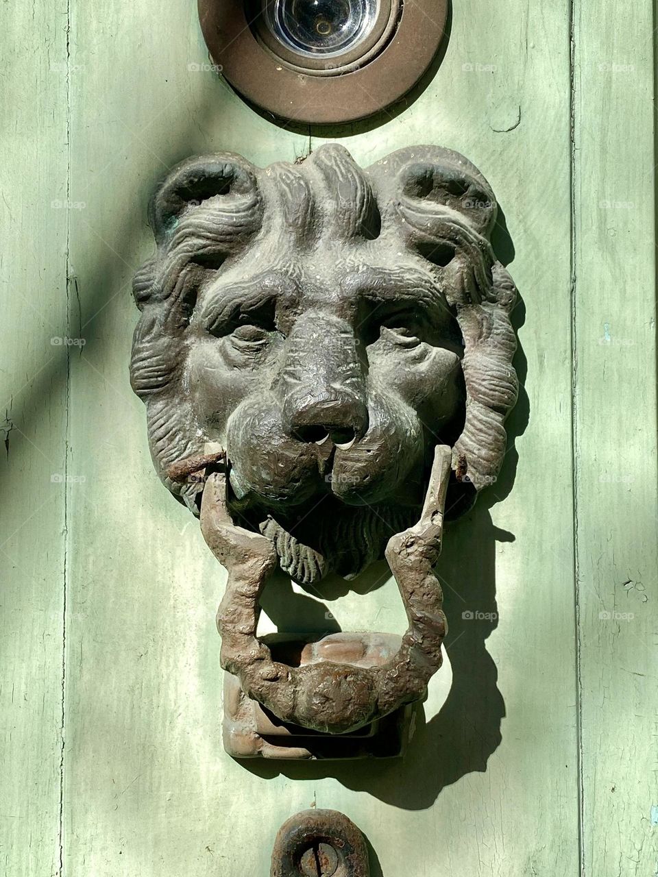 A metal lion door knocker on a wooden door