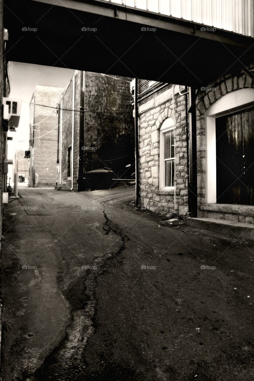 The Alley 