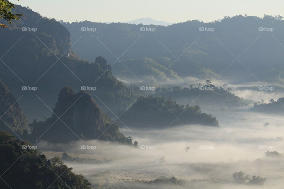 Fog over trees at mountain