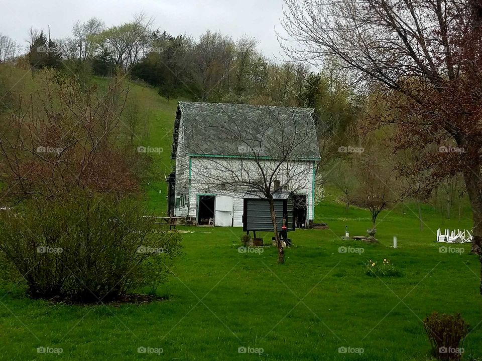 Driving the Back Roads and enjoying everything around us