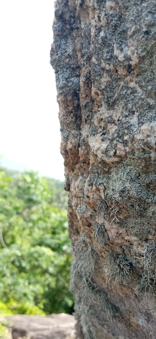 rock in the mountain.