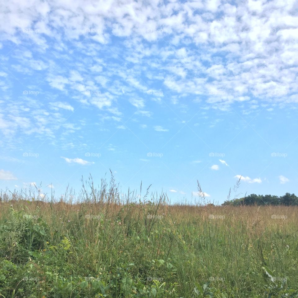 Missouri prairie open sky
