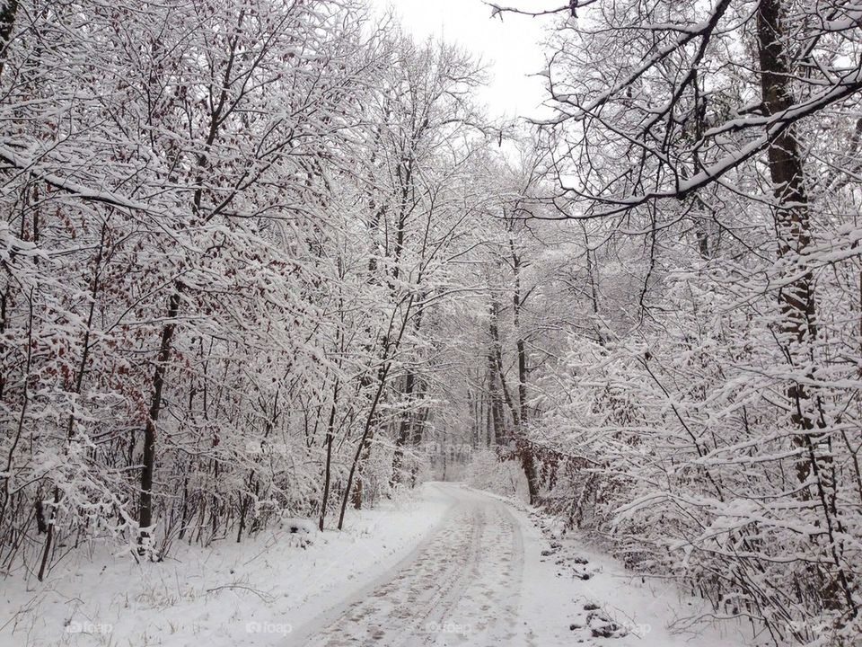 View in winter