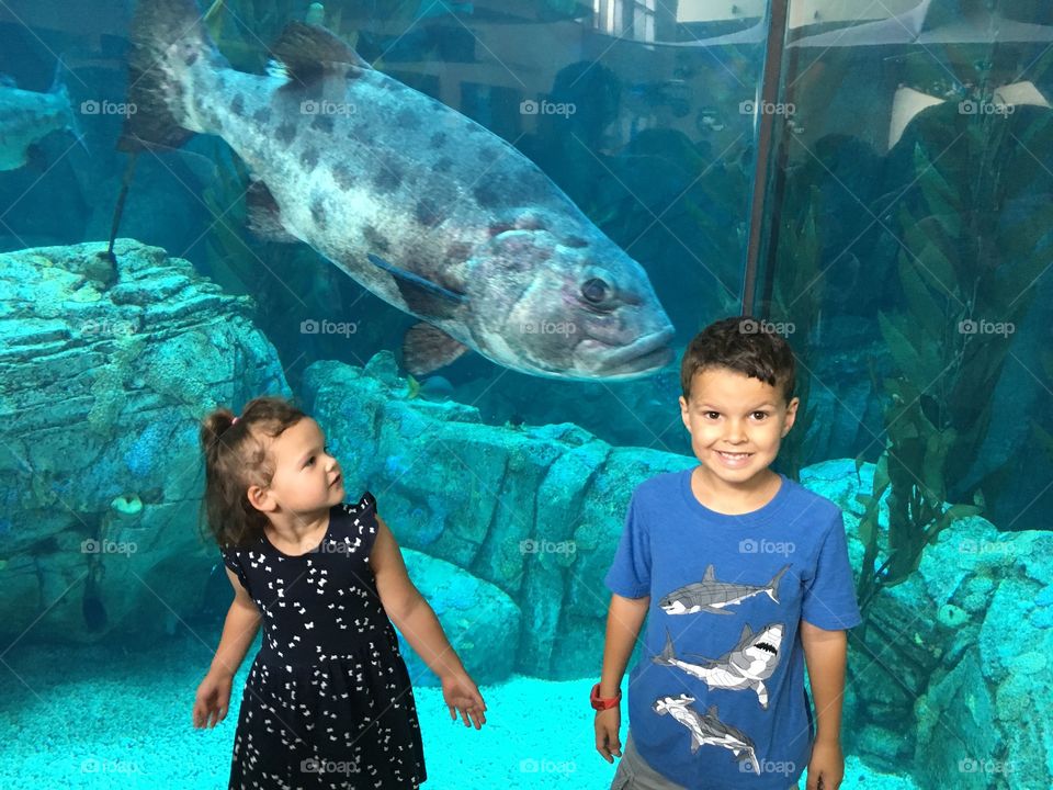 Aquarium boy girl