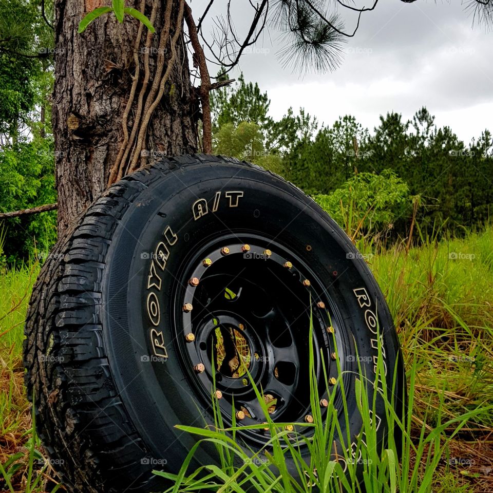 All Terrain tyre in its natural habitat
