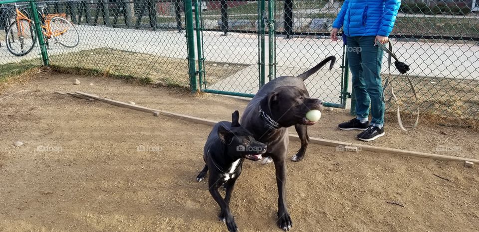 That looks like my ball!!