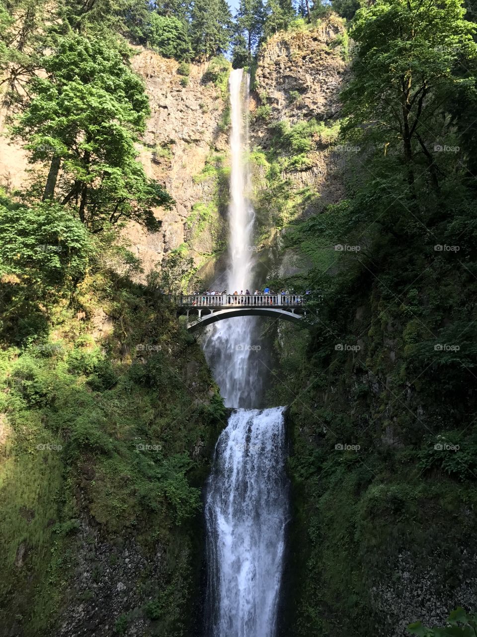 Multnomah Falls, Oregon