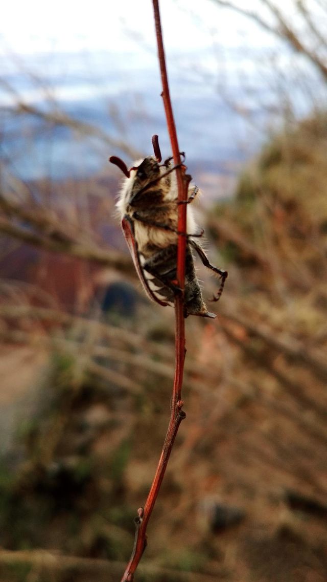 Spring is here