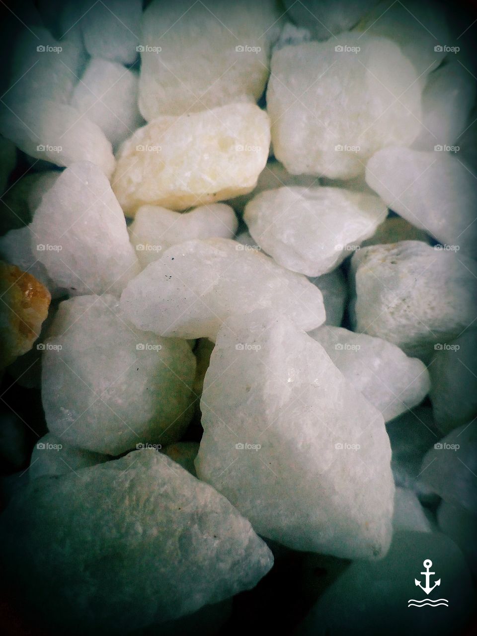White Rock Crystals shine the brightest
