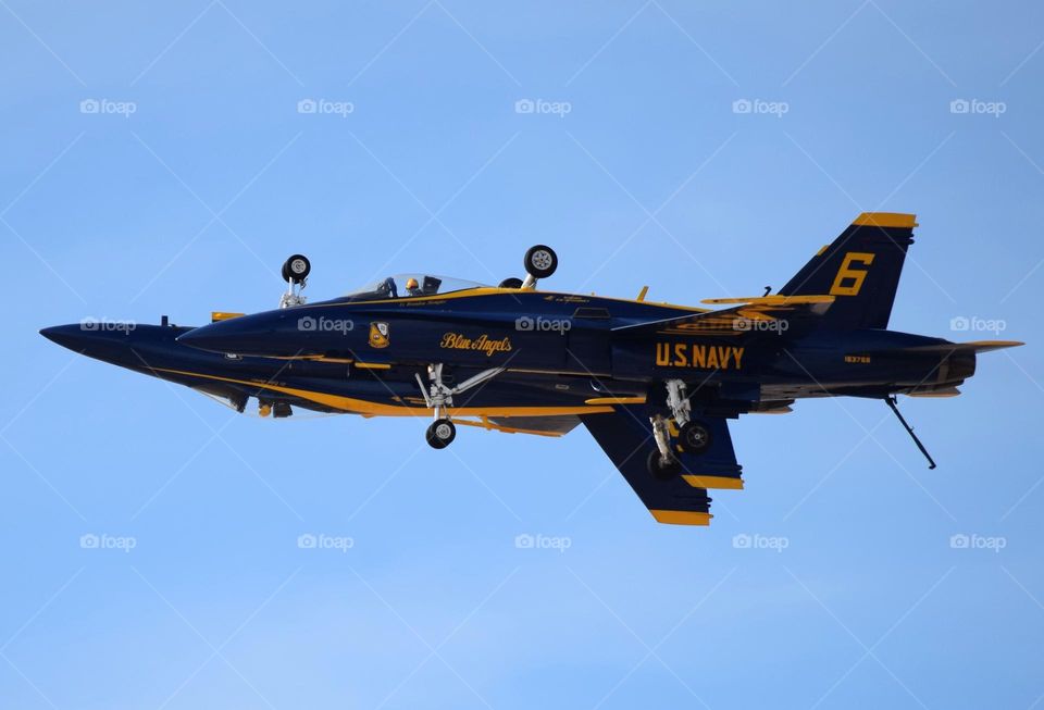 The United States Navy Blue Angels are the F-18 jet fighter demonstration team that performs at air shows across America
