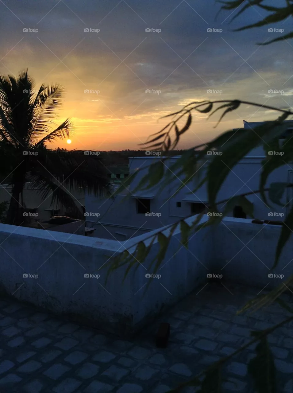 Sun rise