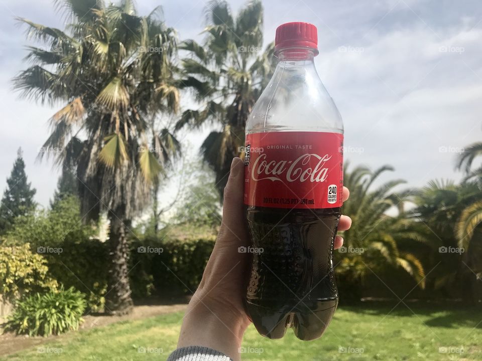 Coke and tropical palm trees 