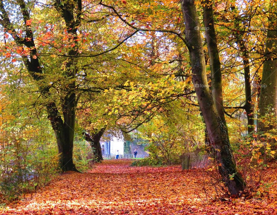 Bois de Boulogne, Lille, Northern France