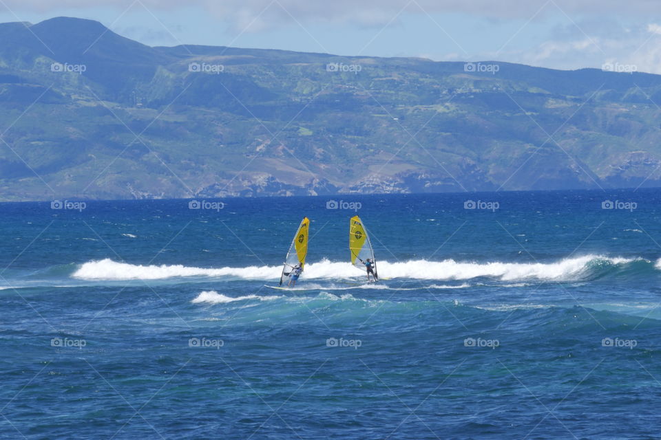 Windsurfing in Hawaii 