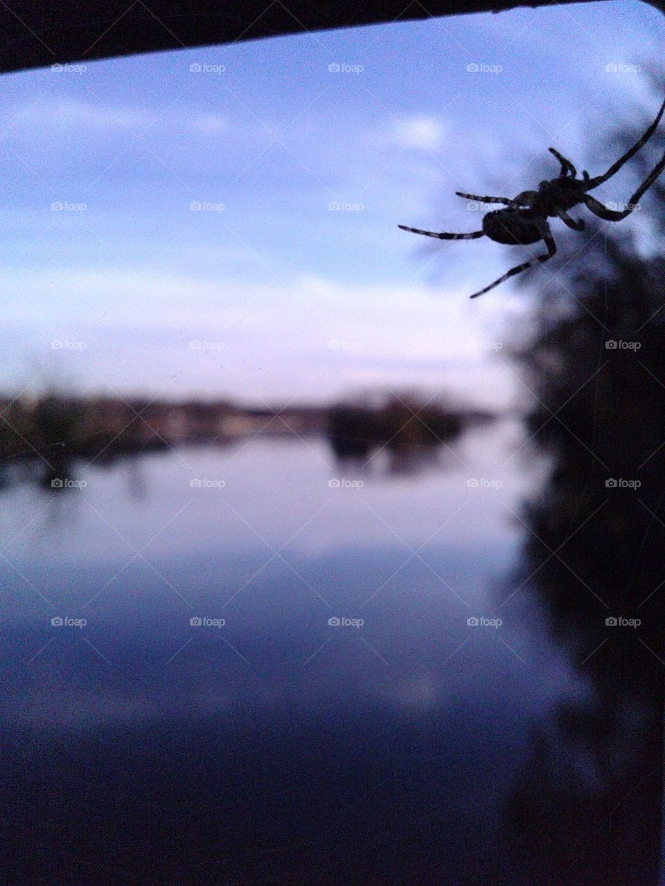 Reflection, Water, Sunset, Dawn, Landscape