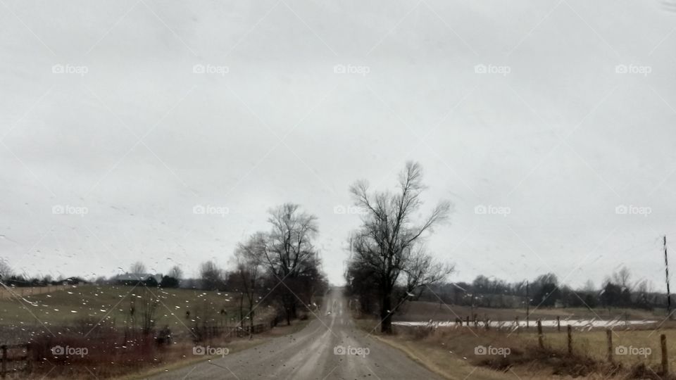 Road, Landscape, Fog, Tree, Nature