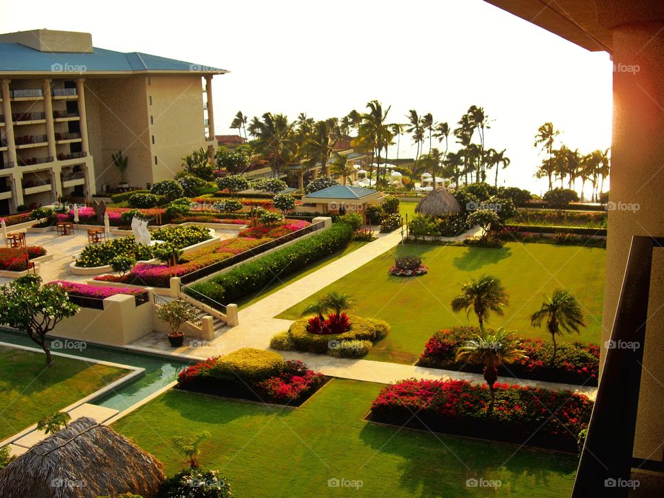 Luxury Resort In Maui
