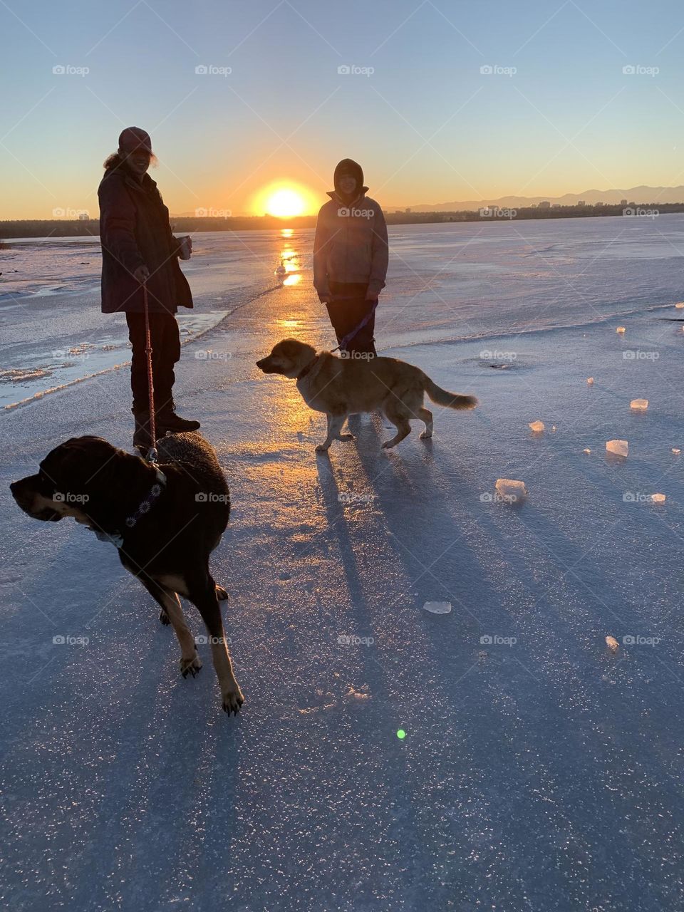 Icy sunset with dogs