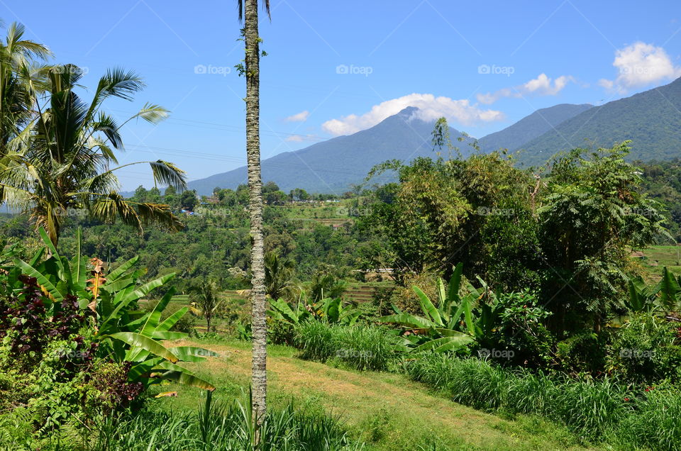 The view of the mountains and the jungle