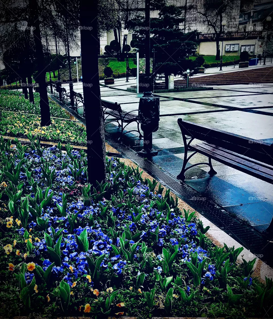 Spring in city