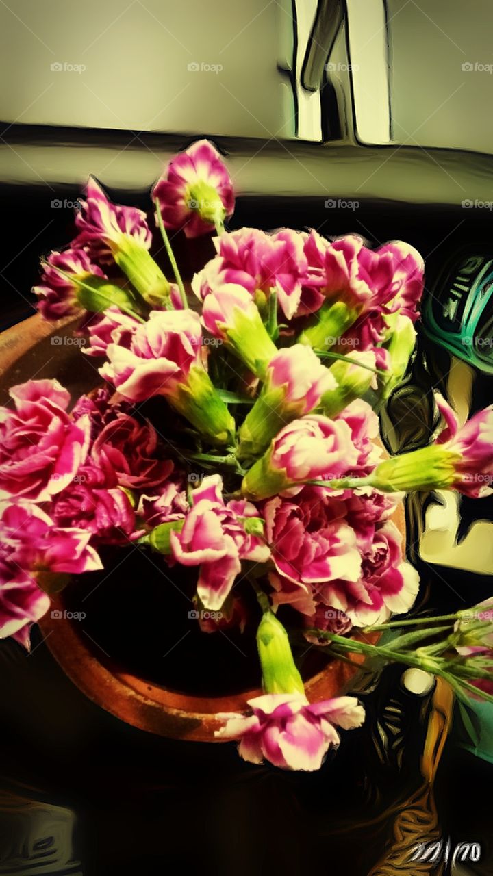 The flowers that catch my attention because of its amazing colors.