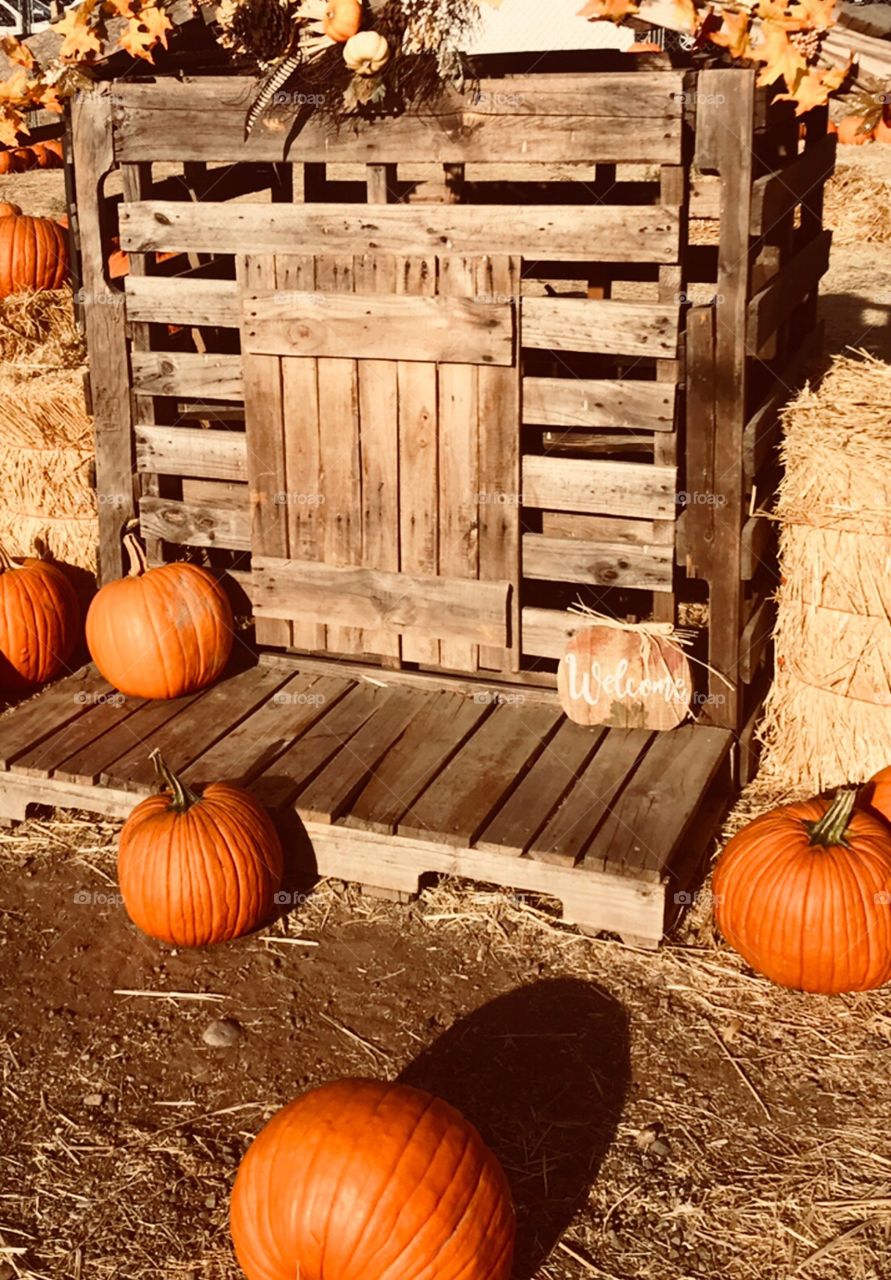 A little wooden cottage at the pumpkin patch on a nice fall October afternoon. USA, America