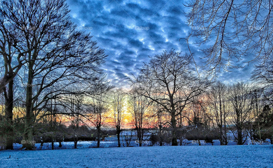 snow winter tree sunset by rui.dellavanzi