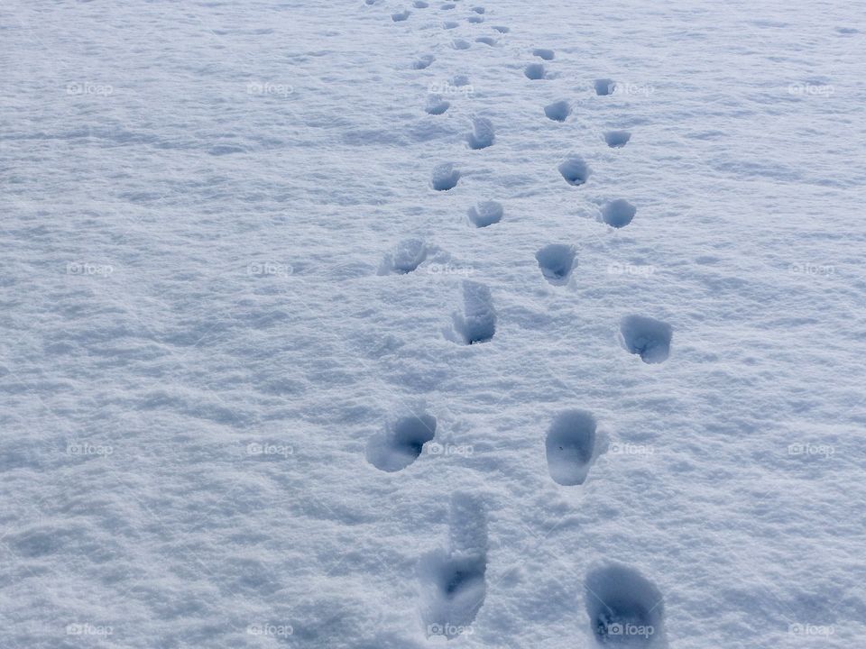 Footprints in the snow