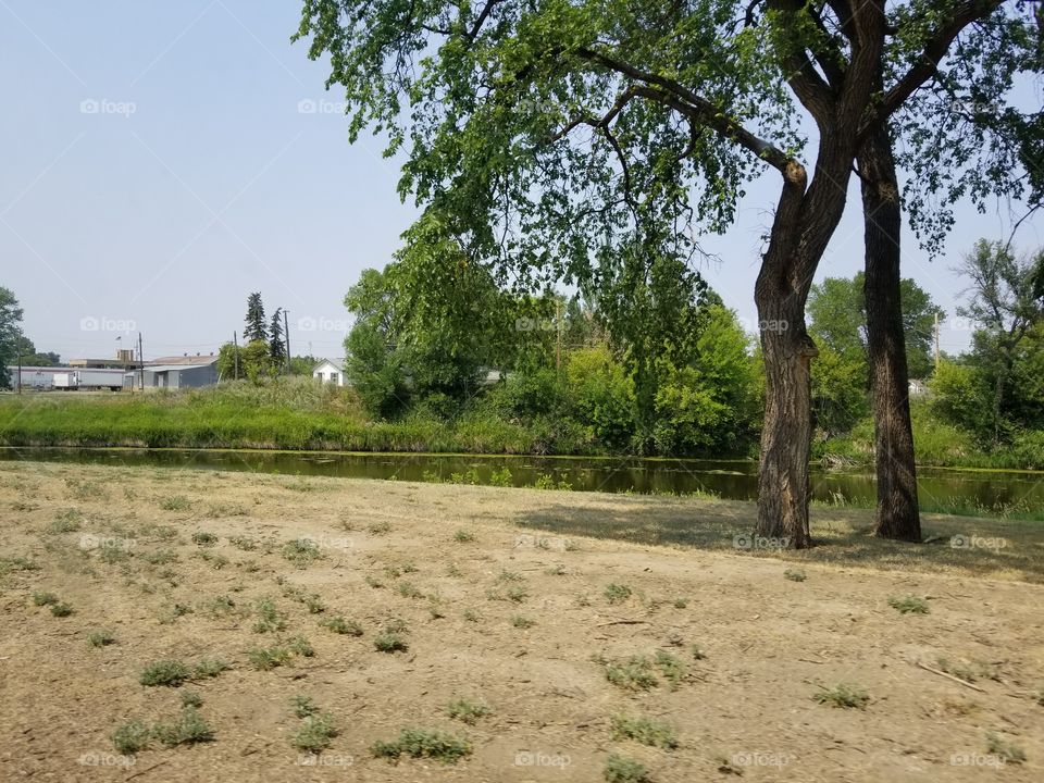 Tree, Nature, No Person, Landscape, Wood
