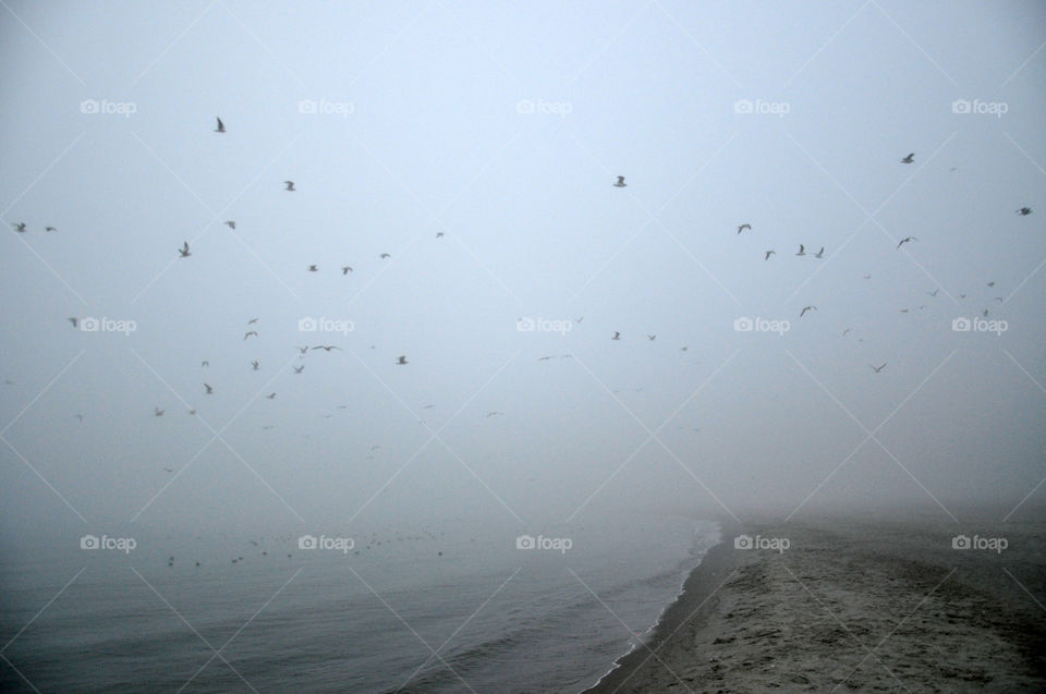 foggy morning on the beach of gdynia, poland, the baltic sea coast